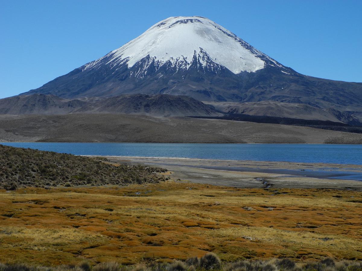 Hostal Vientos Del Altiplano Putre Eksteriør bilde